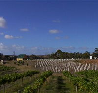 Deep Creek Wines and Alpacas - Tourism Search