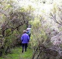 Jack And Hilda McArthur Walk - Tourism Search