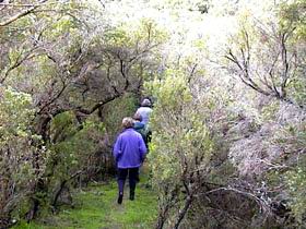 Jack And Hilda McArthur Walk - Tourism Search 0