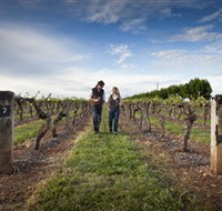 Coonawarra Wineries Walking Trail - Tourism Search