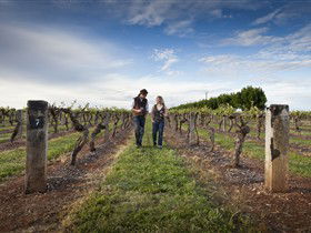 Coonawarra Wineries Walking Trail - Tourism Search 0