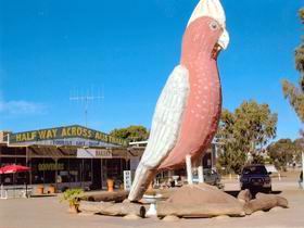 The Big Galah - Tourism Search 0