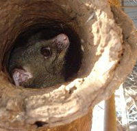 Mulga Sanctuary and Wildlife Park - Tourism Search