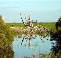 Bool Lagoon Game Reserve and Hacks Lagoon Conservation Park - Tourism Search