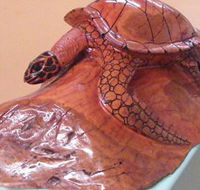 Ants Redgum Gallery - Tourism Search