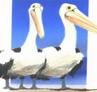 Bay of Shoals Wines - Tourism Search