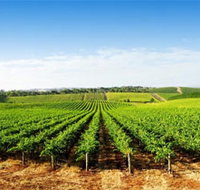 Aldinga Bay Winery - Tourism Search