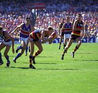 AAMI Stadium Tours - Tourism Search