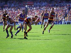 AAMI Stadium Tours - Tourism Search 0