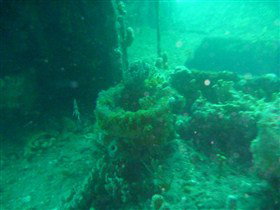 Wallaroo Scuba Club - Tourism Search 0