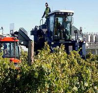 Ballast Stone Estate Wines Pty Ltd - Tourism Search