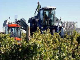 Ballast Stone Estate Wines Pty Ltd - Tourism Search 0