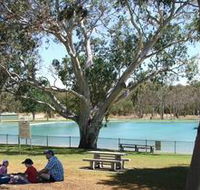 Naracoorte Nature Park and Swimming Lake - Tourism Search
