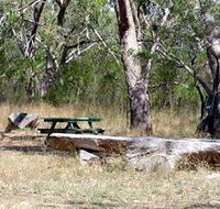 Penola Conservation Park - Tourism Search