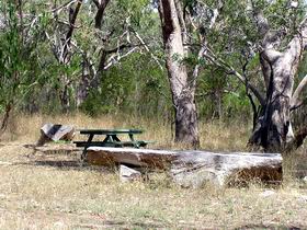 Penola Conservation Park - Tourism Search 0