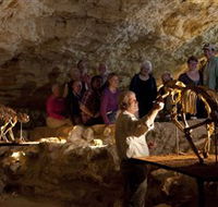 Naracoorte Caves National Park - Tourism Search