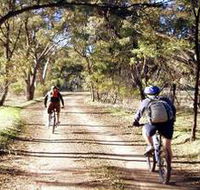 Bike About Mountain Bike Tours And Hire - Tourism Search