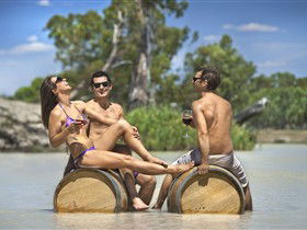 Caudo Vineyard Cellar Door - Tourism Search 0