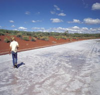 Lake Gairdner National Park - Tourism Search