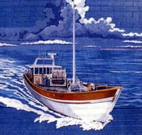 Southern Fleurieu Fish - Tourism Search