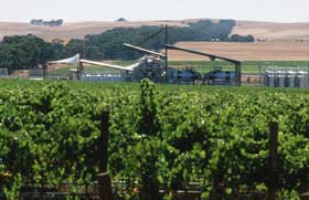Kirrihill Wines - Tourism Search 0