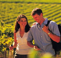 Lady Bay Vineyard - Tourism Search