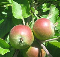 Sage Cooking School - Tourism Search