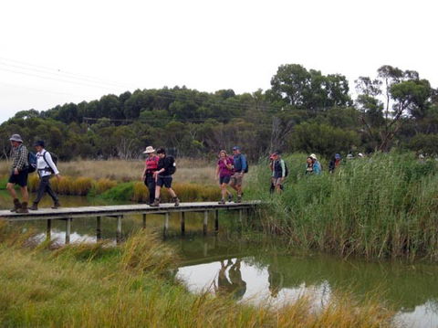 Lavender Federation Trail - Tourism Search 1