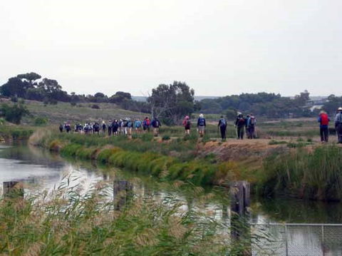 Lavender Federation Trail - Tourism Search 2