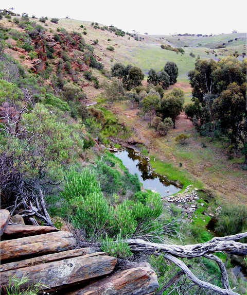 Lavender Federation Trail - Tourism Search 3