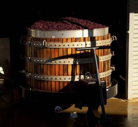 Greenock Creek Wines - Tourism Search 1