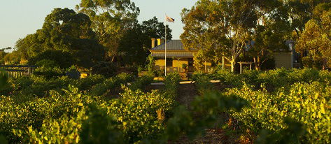 Greenock Creek Wines - Tourism Search 2