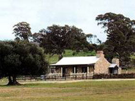 Fernfield Wines - Tourism Search 0