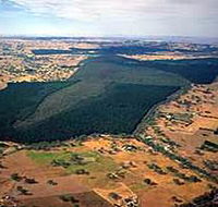 Mount Crawford Forest Reserve - Tourism Search