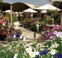 Serenity Nursery - Tourism Search