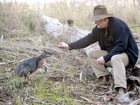 Sinclair's Gully - Tourism Search 0