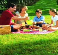 Bruny Island Berry Farm - Tourism Search