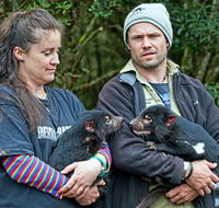 devilscradle - Tourism Search