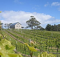 Bruny Island Premium Wines Bar and Grill - Tourism Search
