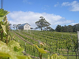 Bruny Island Premium Wines Bar And Grill - Tourism Search 0