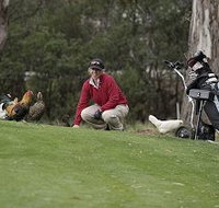 Tasmania Golf Club - The - Tourism Search