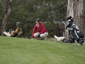 Tasmania Golf Club - The - Tourism Search 0