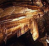 Gunns Plains Cave - Tourism Search