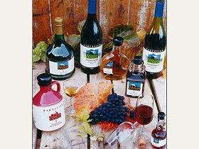 Hartzview Vineyard - Tourism Search 0