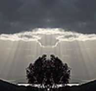 aart. Gallery of Fine Art - Tourism Search