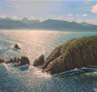 Colville Street Art Gallery - Tourism Search