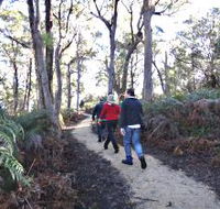 Bridport Walking Track - Tourism Search