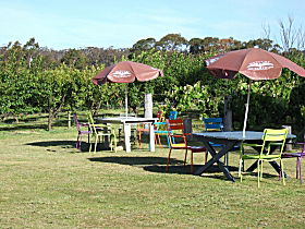 Cerise Brook Orchard & Family Golf - Tourism Search 0