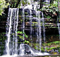 Mt Field National Park - Tourism Search