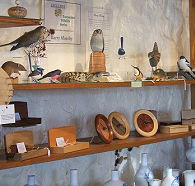 Touchwood Craft Gallery Gifts and Cafe - Tourism Search